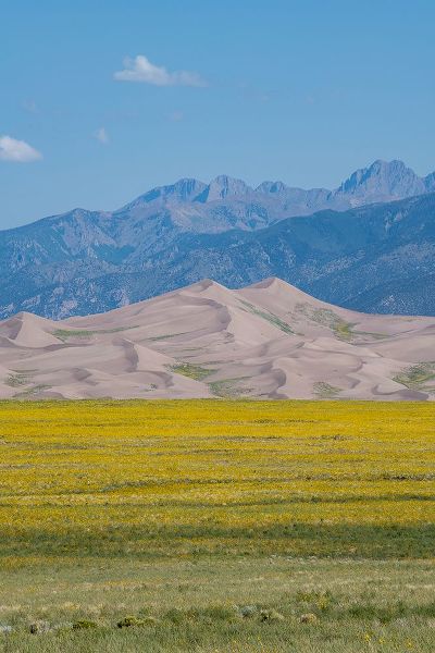 Hopkins, Cindy Miller 아티스트의 USA-Colorado-San Luis Valley-Great Sand Dunes National Park작품입니다.